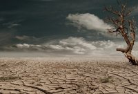 Zwischen Klimakrise und politischer Realität